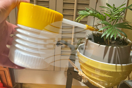 Gardening-Houseplant Pests