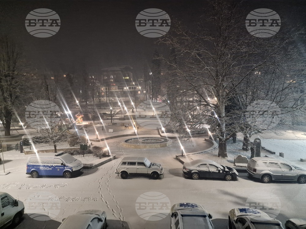 Слаб сняг вали в област Смолян, няма въведени ограничения