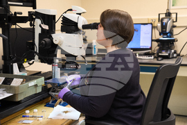 Aircraft Down Investigation