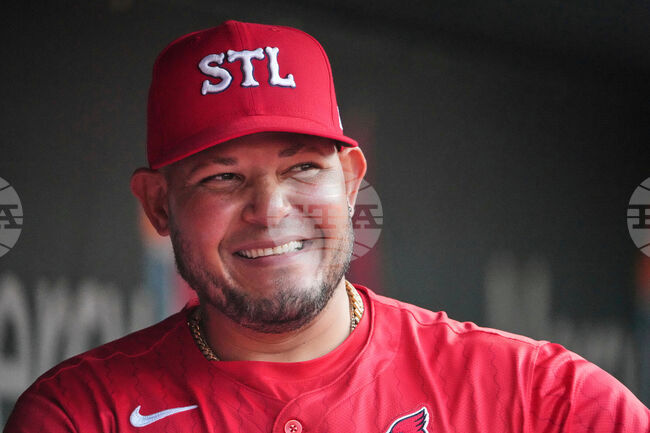 Cardinals Molina Baseball