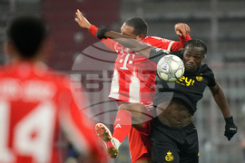 Germany Champions League Soccer