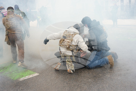 Immigration Enforcement Minnesota