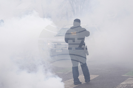 Immigration Enforcement Minnesota