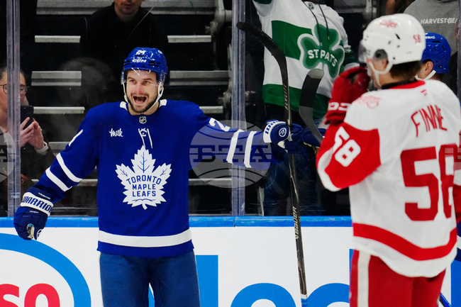 Red Wings Maple Leafs Hockey