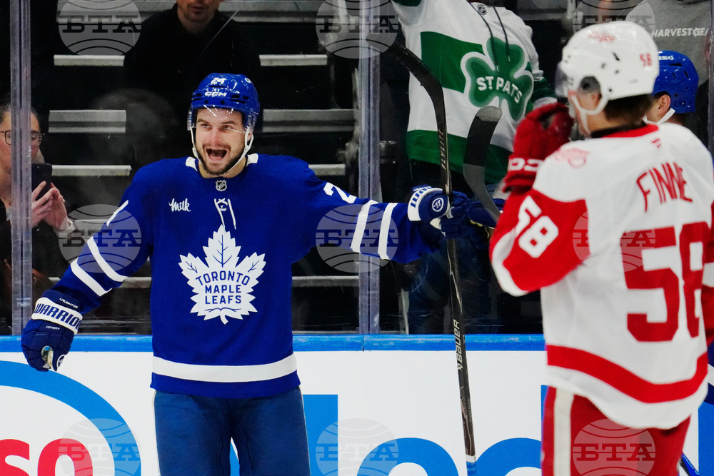 Red Wings Maple Leafs Hockey