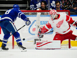 Red Wings Maple Leafs Hockey