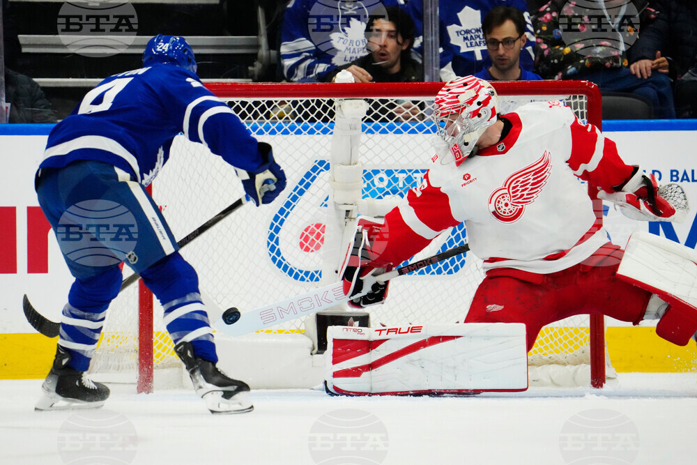 Red Wings Maple Leafs Hockey