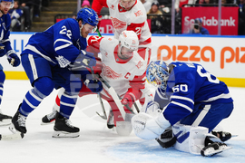 Red Wings Maple Leafs Hockey