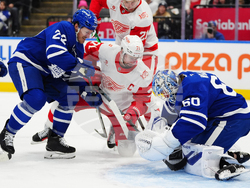 Red Wings Maple Leafs Hockey