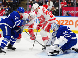 Red Wings Maple Leafs Hockey