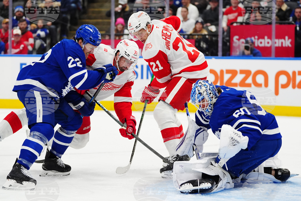 Red Wings Maple Leafs Hockey