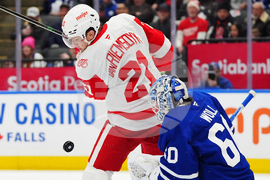 Red Wings Maple Leafs Hockey