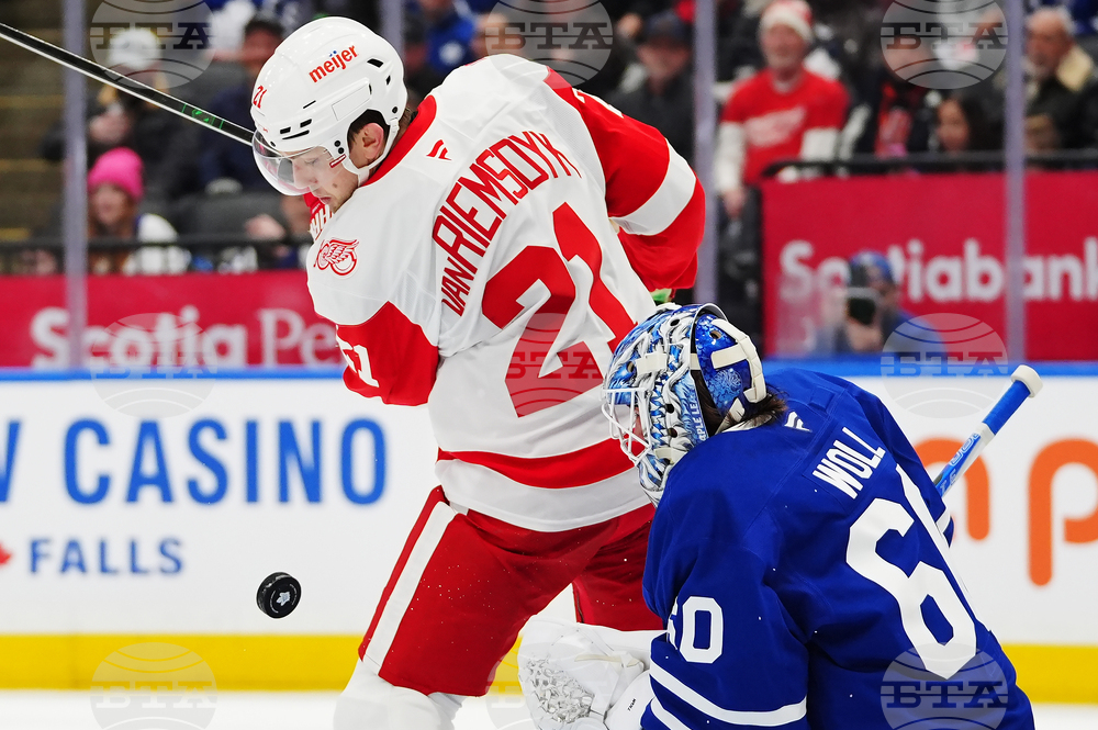 Red Wings Maple Leafs Hockey