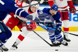 Red Wings Maple Leafs Hockey