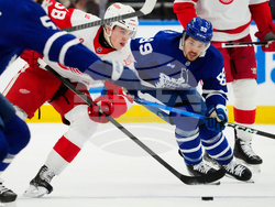 Red Wings Maple Leafs Hockey