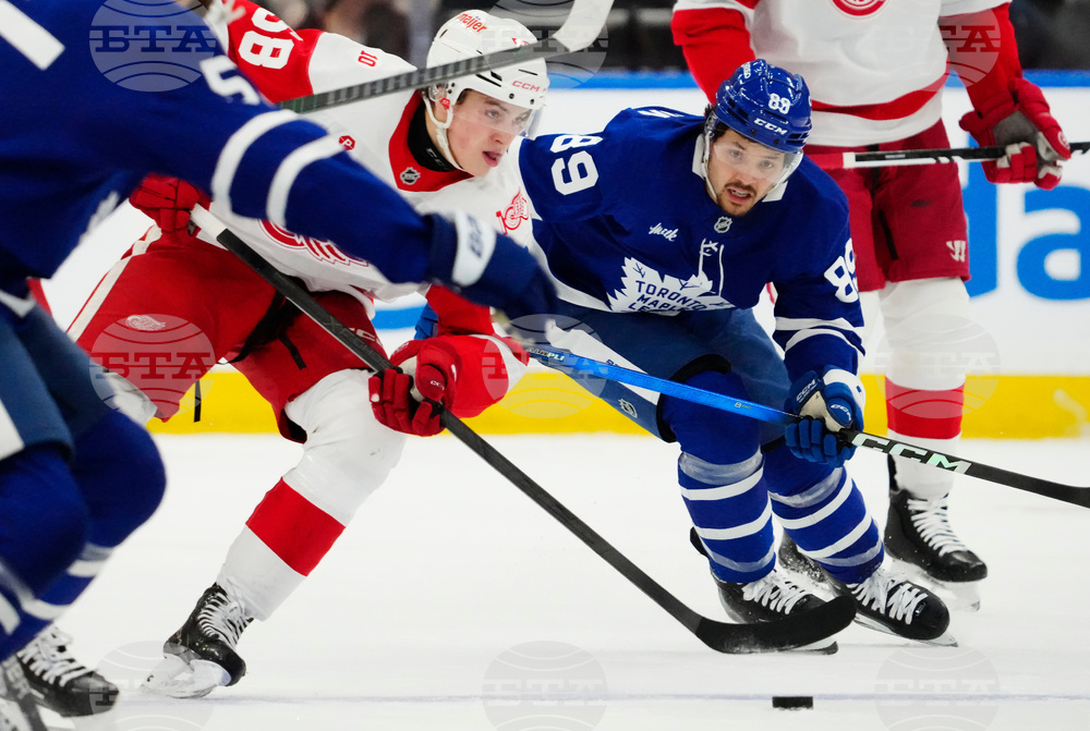 Red Wings Maple Leafs Hockey