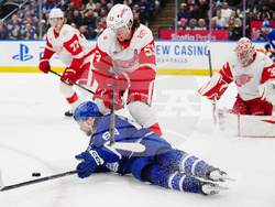 Red Wings Maple Leafs Hockey