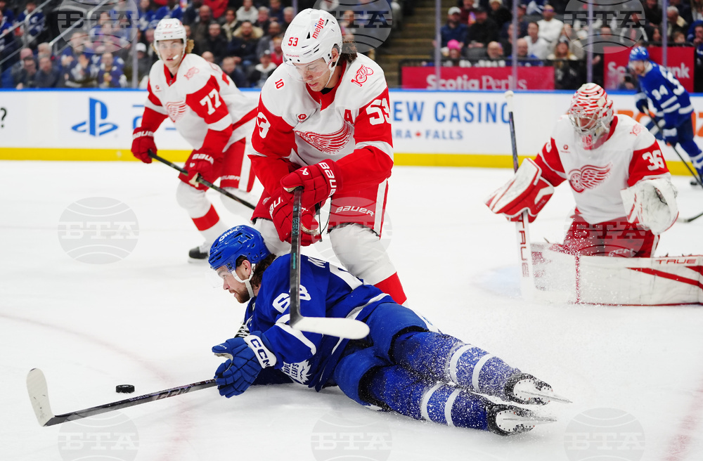 Red Wings Maple Leafs Hockey