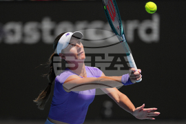 Australian Open Tennis