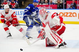 Red Wings Maple Leafs Hockey