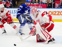 Red Wings Maple Leafs Hockey