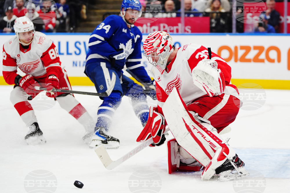 Red Wings Maple Leafs Hockey