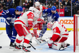 Red Wings Maple Leafs Hockey