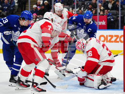 Red Wings Maple Leafs Hockey