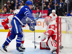 Red Wings Maple Leafs Hockey