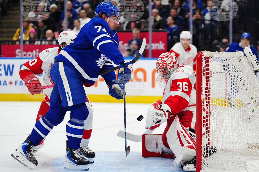 Red Wings Maple Leafs Hockey