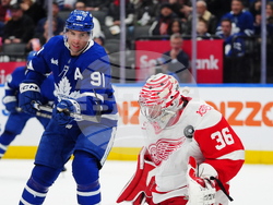 Red Wings Maple Leafs Hockey
