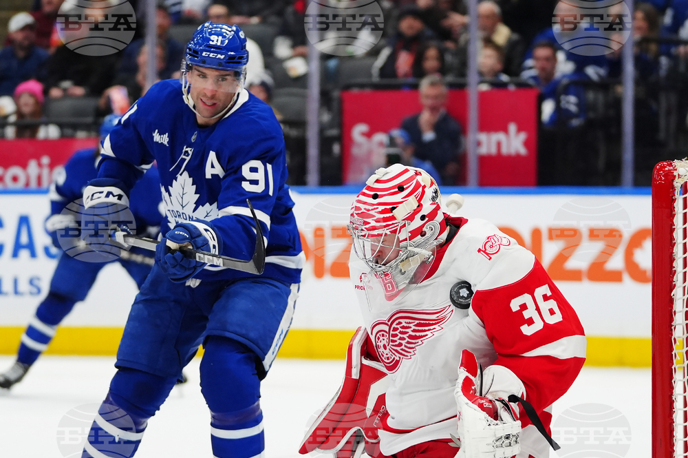 Red Wings Maple Leafs Hockey