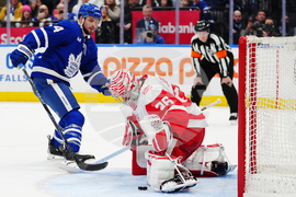 Red Wings Maple Leafs Hockey