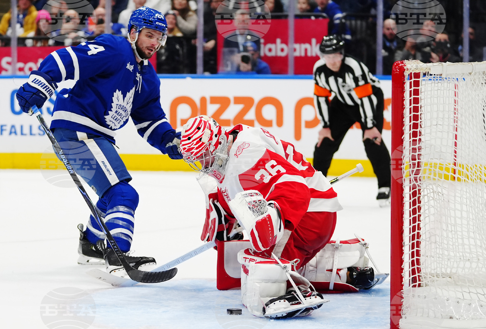 Red Wings Maple Leafs Hockey