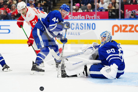 Red Wings Maple Leafs Hockey