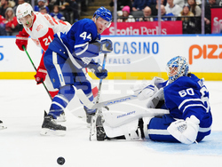 Red Wings Maple Leafs Hockey