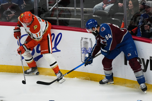 Ducks Avalanche Hockey