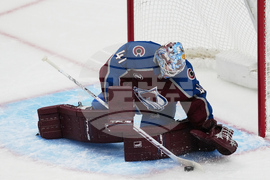 Ducks Avalanche Hockey