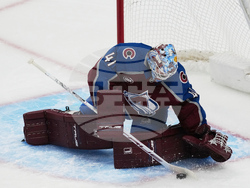 Ducks Avalanche Hockey