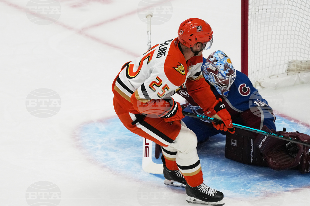 Ducks Avalanche Hockey