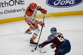 Ducks Avalanche Hockey