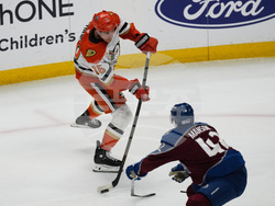 Ducks Avalanche Hockey