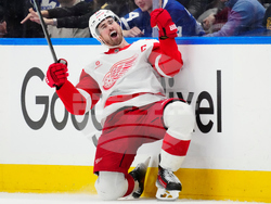 Maple Leafs Red Wings Hockey