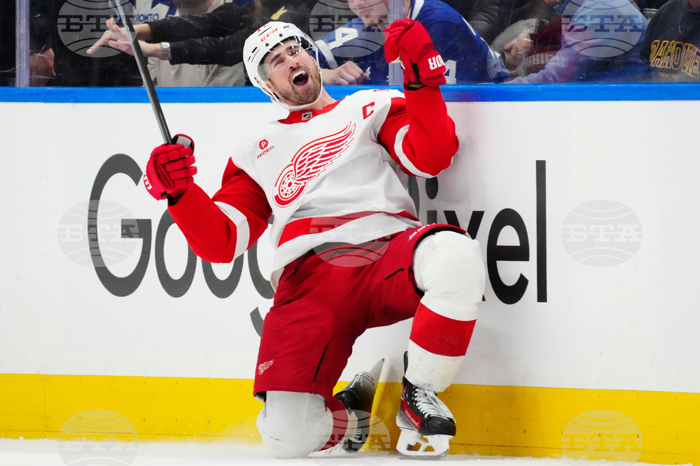 Maple Leafs Red Wings Hockey