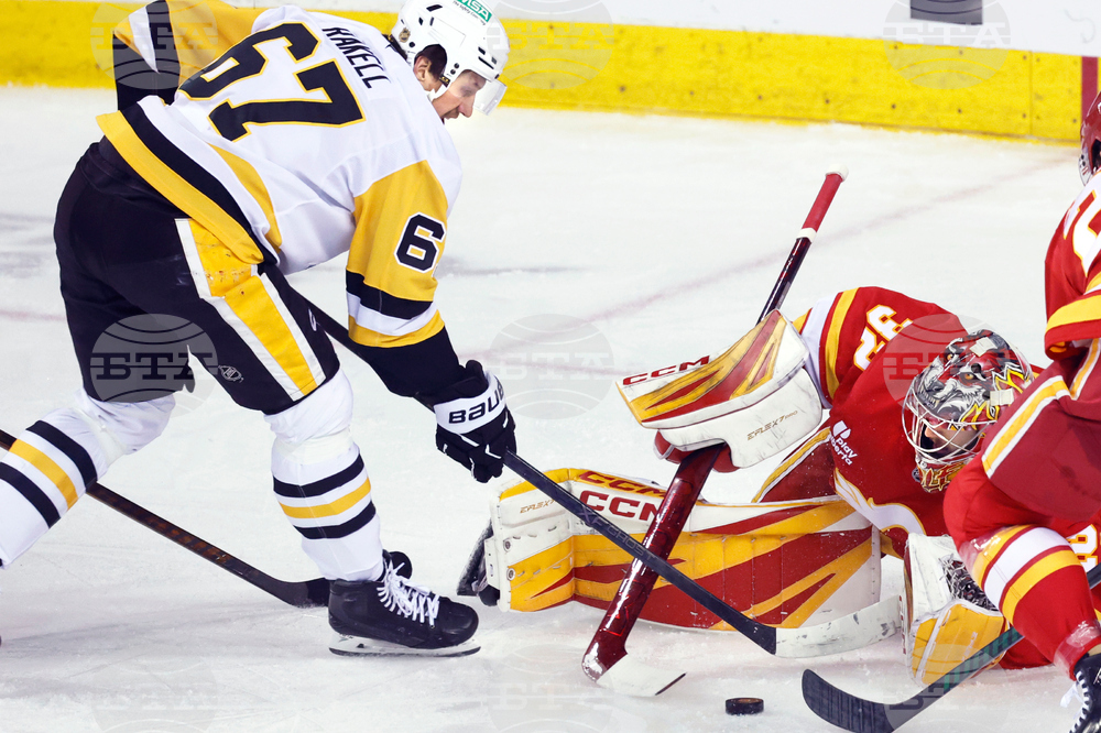 Penguins Flames Hockey