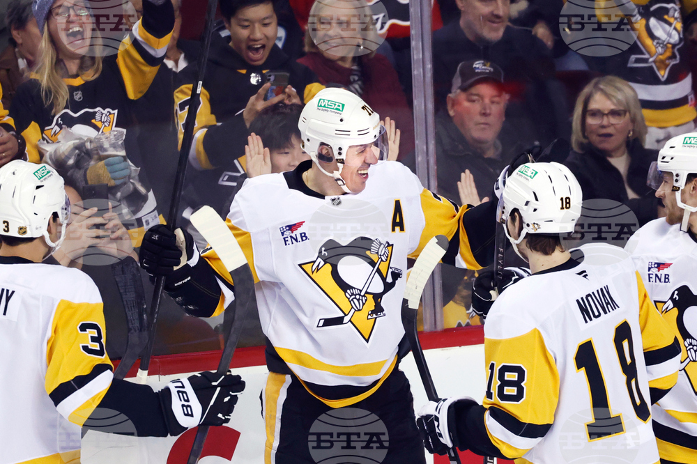 Penguins Flames Hockey