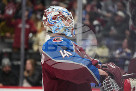 Ducks Avalanche Hockey