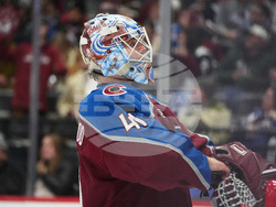 Ducks Avalanche Hockey