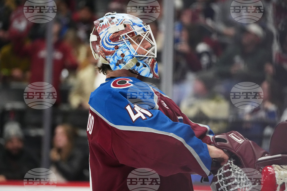 Ducks Avalanche Hockey