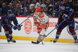 Ducks Avalanche Hockey